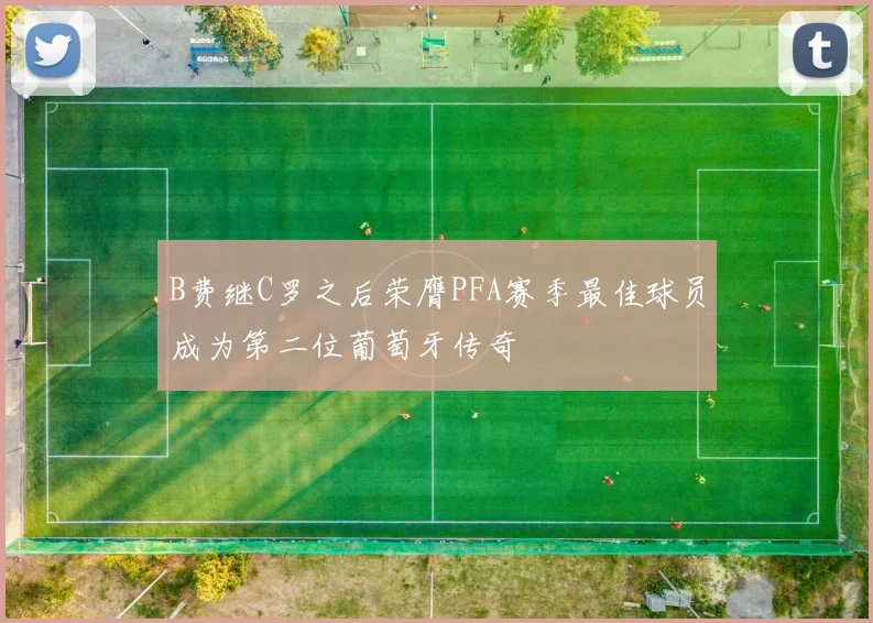 B费继C罗之后荣膺PFA赛季最佳球员成为第二位葡萄牙传奇