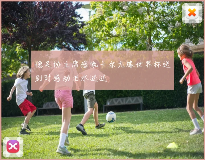 德足协主席感慨卡尔无缘世界杯送别时感动泪水涟涟